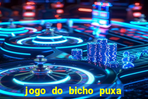 jogo do bicho puxa de dona maria